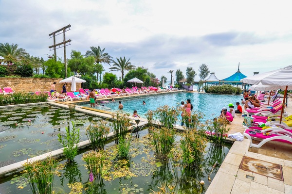Edde Sands on Sunday